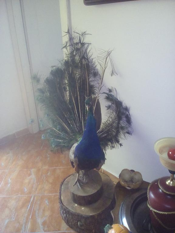Gjirokastër Karafil Guesthouse מראה חיצוני תמונה