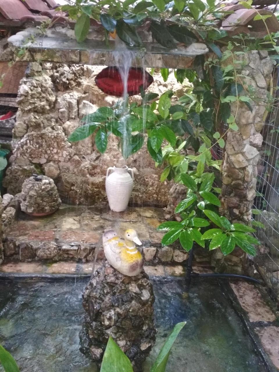 Gjirokastër Karafil Guesthouse מראה חיצוני תמונה